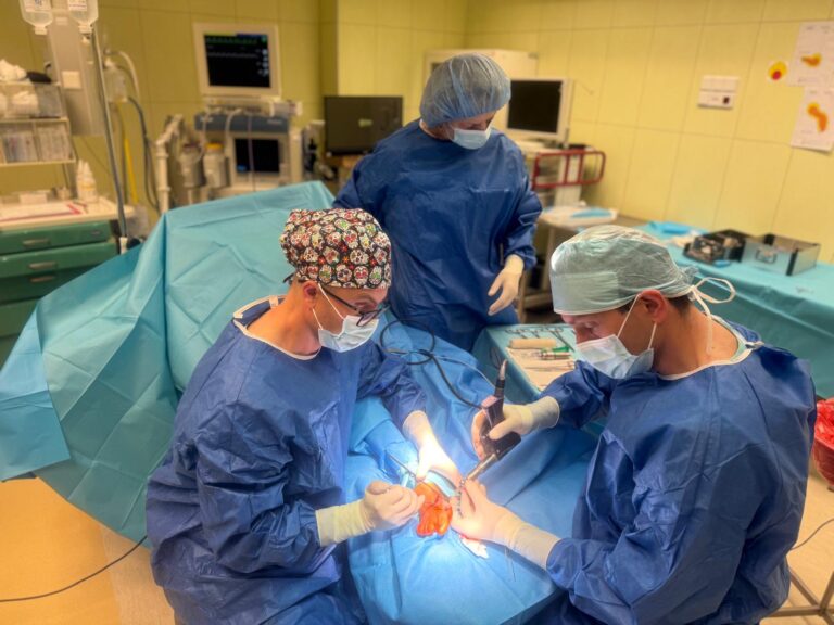 Korekcja palucha koślawego