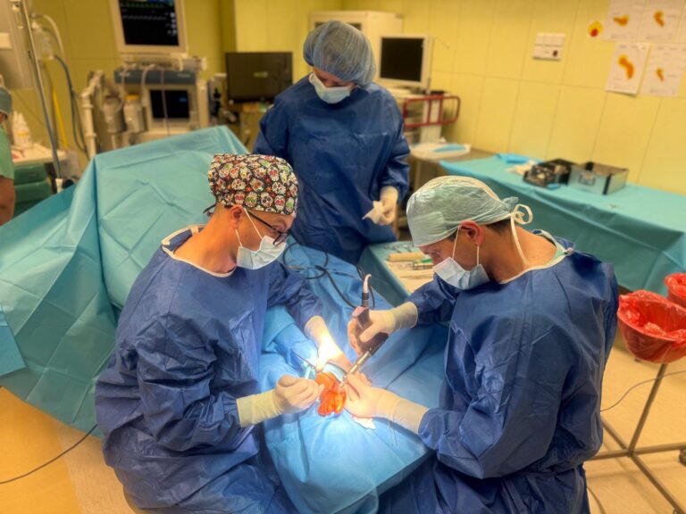 korekcja palucha koślawego3